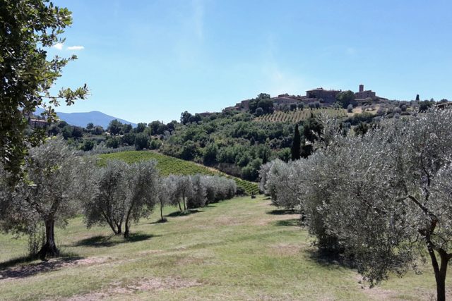 montalcino