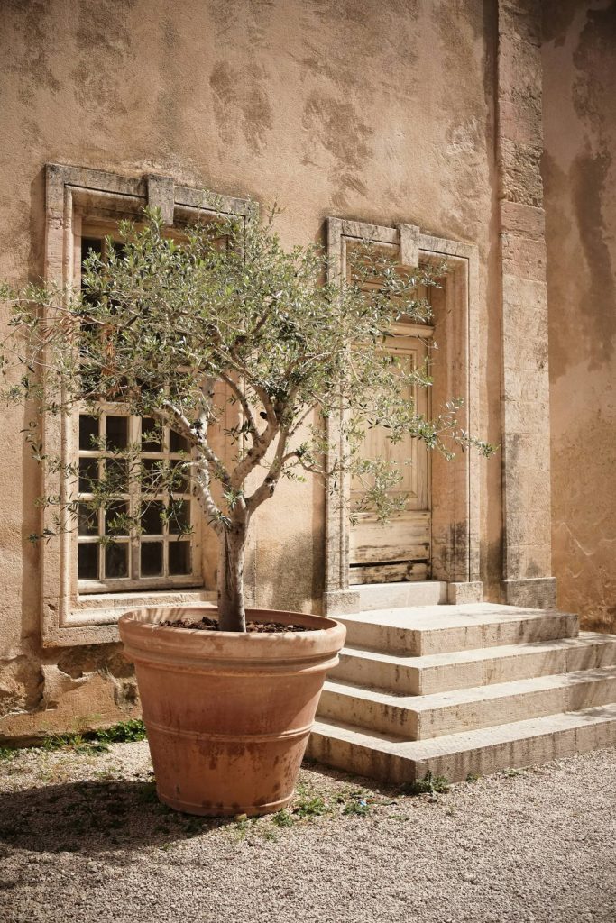 Vasi in terracotta per il giardino provenzale