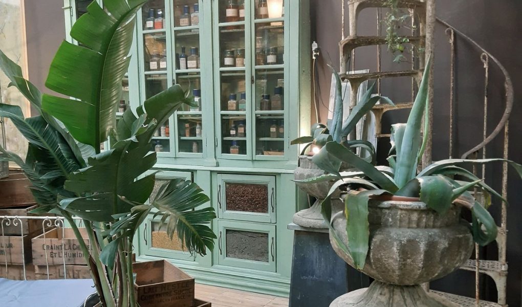 Antico e design del giardino a Petra Modena