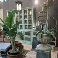 Antico e design del giardino a Petra Modena