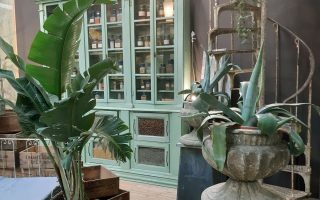 Antico e design del giardino a Petra Modena