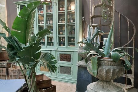 Antico e design del giardino a Petra Modena