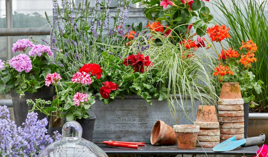 Accessori vintage per giardino