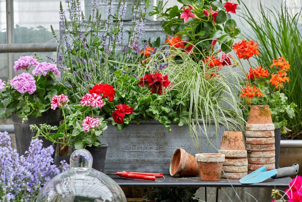 Accessori vintage per giardino