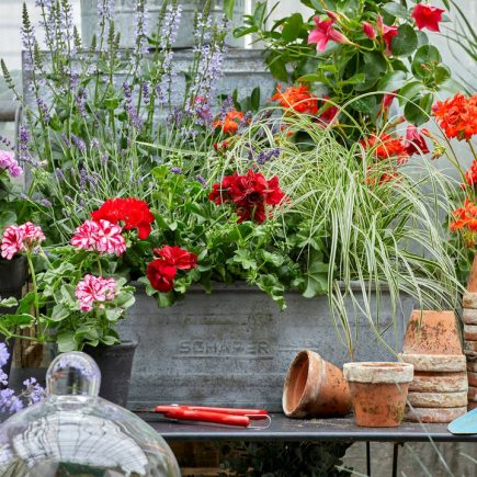 Accessori vintage per giardino