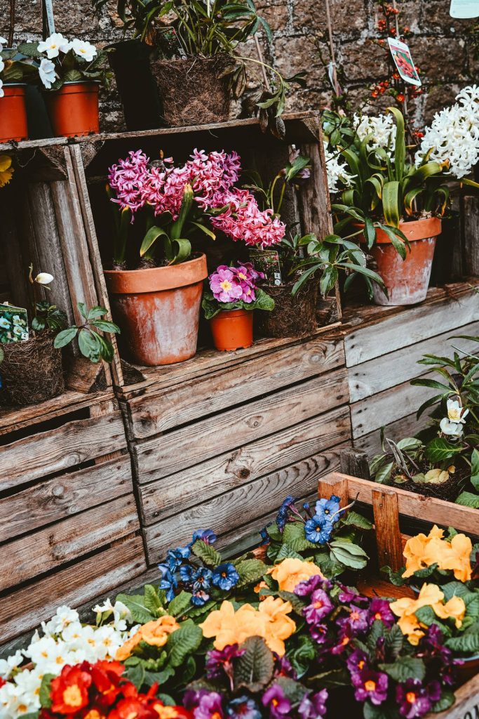 Accessori vintage per il giardino