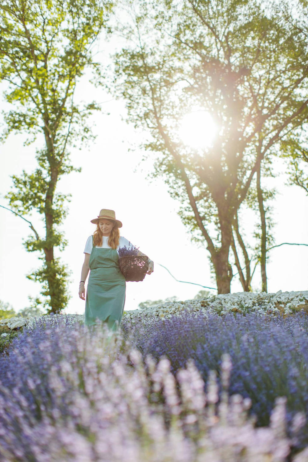Lavanda favorisce il rilassamento e la purificazione.