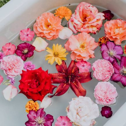 acqua di San Giovanni